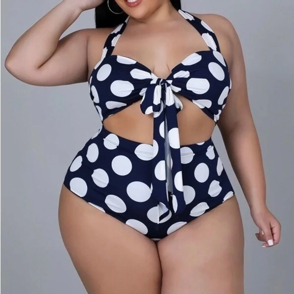 Dani Blue & White Polka Dot Bikini 1X-3X